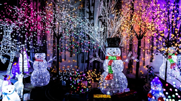 Best Christmas Light Displays in Spartanburg and Greenville, Upstate, SC | Team Matsuda Realtors