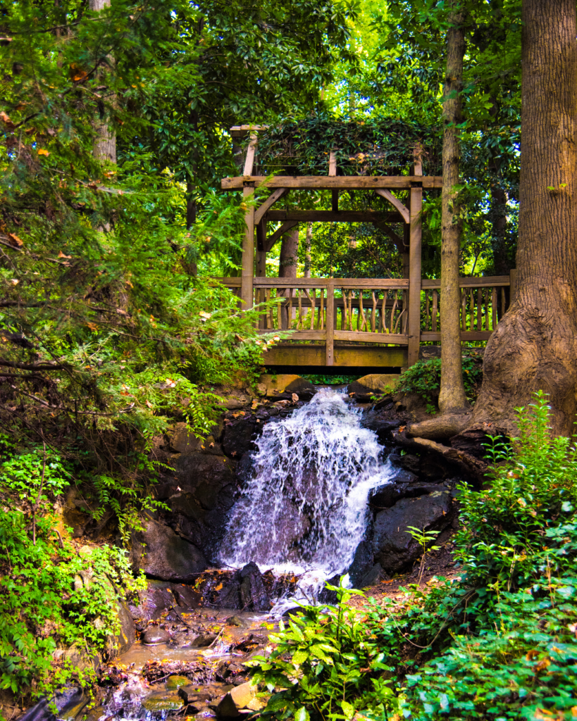 Hatcher garden in spartanburg, spartanburg sc, things to do in spartanburg