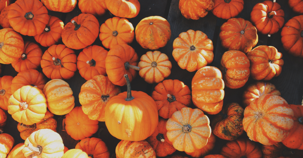 Fall activities in Greenville and Spartanburg, including pumpkin patches, fall festivals, and scenic hikes – Download our FREE Local Fall Guide.