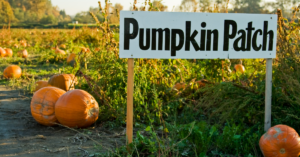 Pumpkin patches in Greenville and Spartanburg SC with hayrides and fall activities